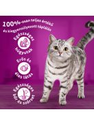 Whiskas 14kg Tonhalas száraztáp felnőtt macskák számára