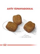 ROYAL CANIN MINI DENTAL CARE - száraz táp felnőtt kistestű kutyák részére a fogkőképződés csökkentéséért (8 kg)
