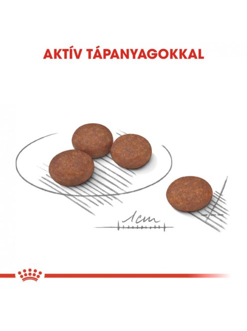 Royal Canin CCN Mini Digestive Care 8kg