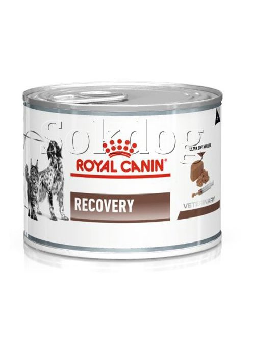 Royal Canin Recovery mousse 12*195g