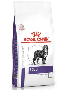 Royal Canin Adult Large Dog 13kg