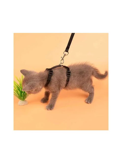 Macskahám szett - S - nyak 18-27cm, mellméret 20-40cm, póráz 115cm - FEKETE