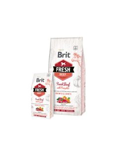 Brit Fresh Marha és Sütőtök Puppy Large 12kg