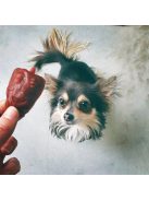 Garden Bites Veggie Friends 270g (6cm/18db)