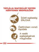 ROYAL CANIN AGEING 12+ GRAVY - idős macska szószos nedves táp  (12*85g)