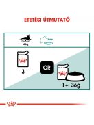 ROYAL CANIN INSTICTIVE 7+ GRAVY -  idősödő macska szószos nedves táp (12*85g)