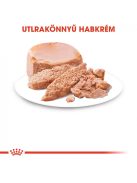 ROYAL CANIN STARTER -  kölyök kutya pépes nedves táp  (12*195g)