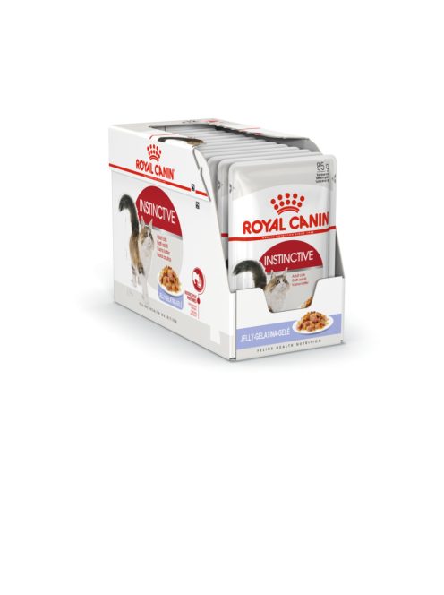 Royal Canin FHN Instinctive Jelly 12x85g
