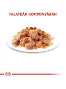ROYAL CANIN INSTINCTIVE JELLY - felnőtt macska zselés nedves táp  (12*85g)