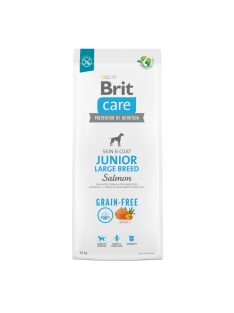 Brit Care Junior Large Salmon 12kg