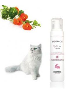 Biogance No Rinse Foamer Cat 200ml