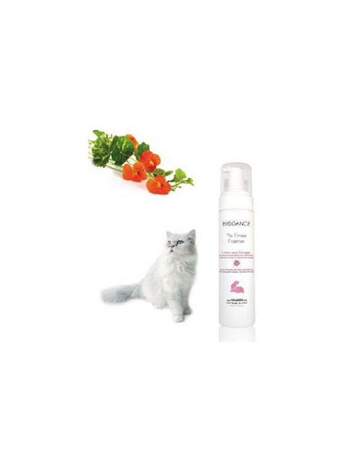 Biogance No Rinse Foamer Cat 200ml