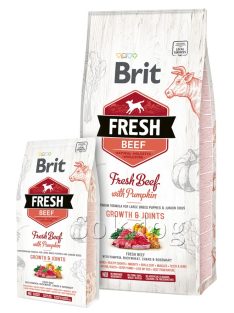 Brit Fresh Puppy & Junior Large Beef & Pumpkin 2,5kg