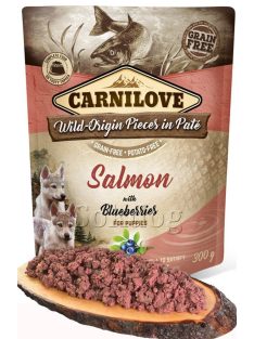 CarniLove Puppy Paté Salmon & Blueberries 12*300gr