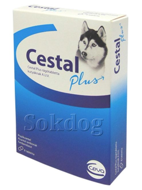 Cestal Plus rágótabletta A.U.V. 8db/cs.