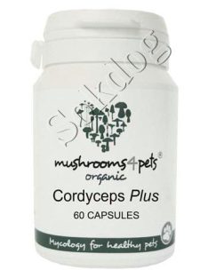 Cordyceps Plus gyógygomba kapszula 60db