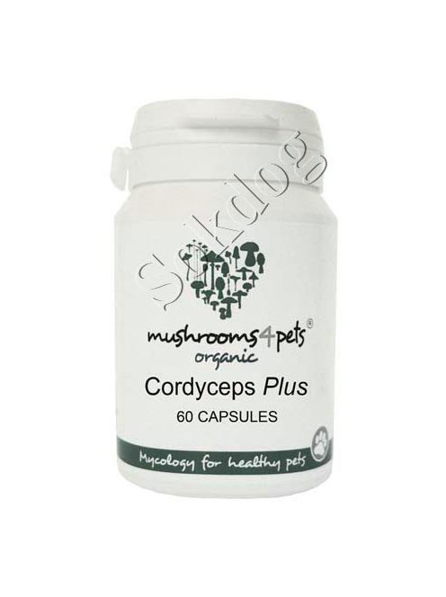 Cordyceps Plus gyógygomba kapszula 60db