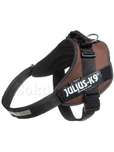 Julius K-9 IDC Powerhám, felirattal, Mini Csoki barna