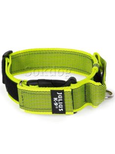   Julius-K9 Color & Grey nyakörv fogóval UV zöld, 40mm, 38-53cm