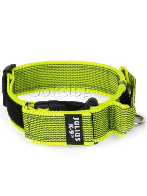 Julius-K9 Color & Grey nyakörv fogóval UV zöld, 40mm, 38-53cm