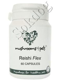 Reishi Flex gyógygomba kapszula 60db/doboz