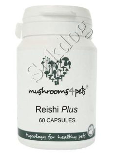 Reishi Plus gyógygomba kapszula 60db/doboz