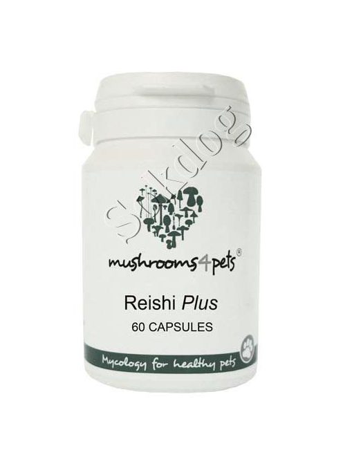 Reishi Plus gyógygomba kapszula 60db/doboz