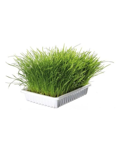 Trixie macskafű dobozban100g (4235)
