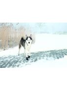 Trixie Walker Active Védő kutyacipő - XL