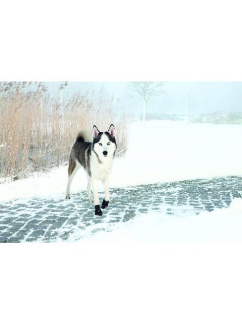 Trixie Walker Active Védő kutyacipő - XL