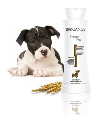 Biogance Protein Plusz Shampoo 250ml