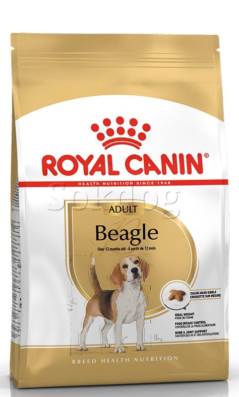 Royal Canin Beagle Adult 3kg - Beagle felnőtt kutya száraz táp
