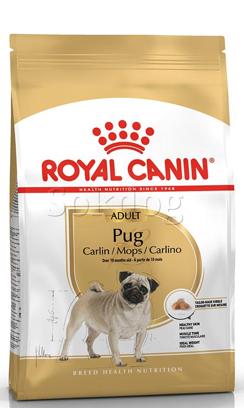 Royal Canin Pug adult 1,5kg - Mopsz felnőtt kutya száraz táp