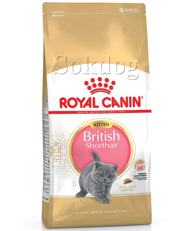 Royal Canin British Shorthair Kitten 2*400g - Brit rövidszőrű kölyök macska száraz táp 