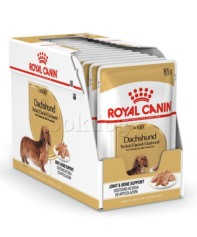 Royal Canin Dachshund Adult 12*85g - Tacskó felnőtt kutya nedves táp