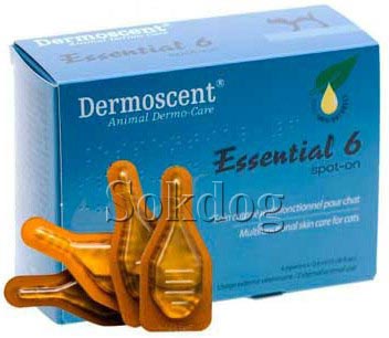 Dermoscent Essential 6 Beauty macska, 4*0,6ml