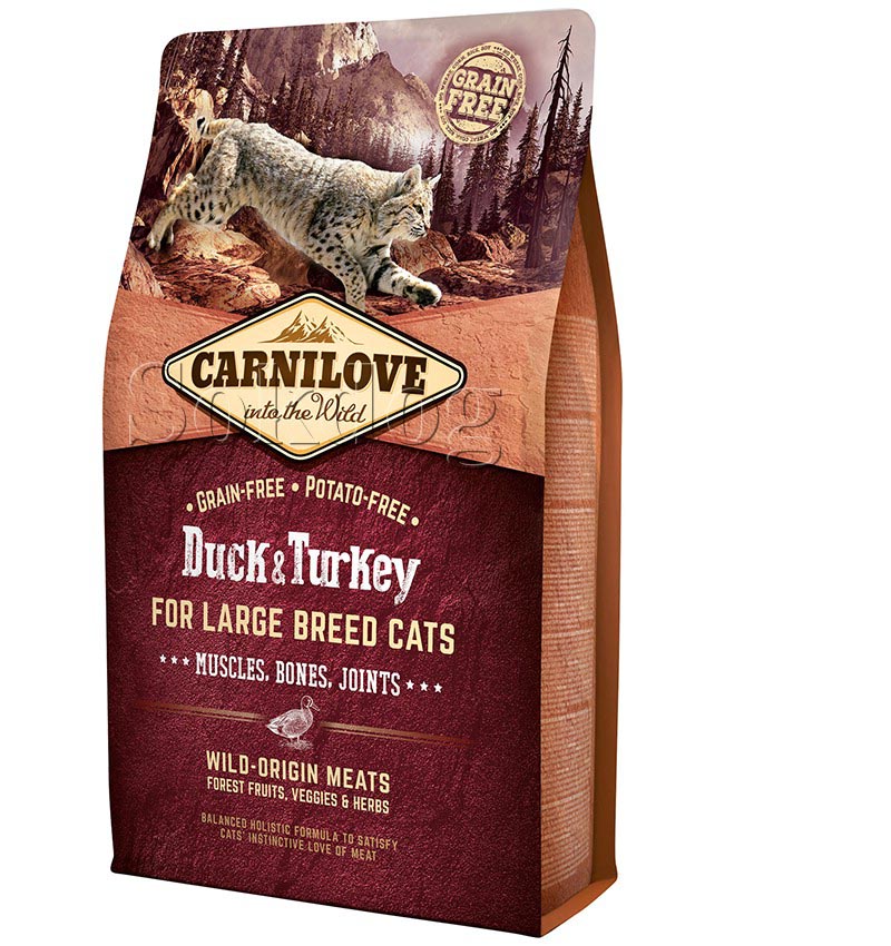 CarniLove Large Breed Cat Duck & Turkey 6kg