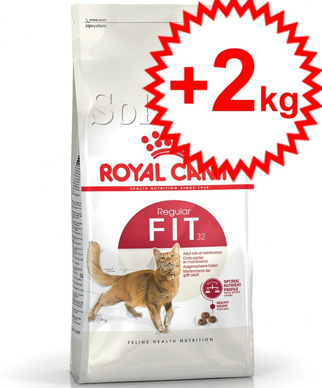 Royal Canin Fit 10kg +2kg! - Promóciós! aktív felnőtt macska száraz táp