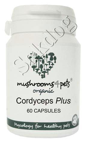 Cordyceps Plus gyógygomba kapszula 60db