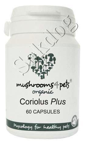 Coriolus Plus gyógygomba kapszula 60db/doboz