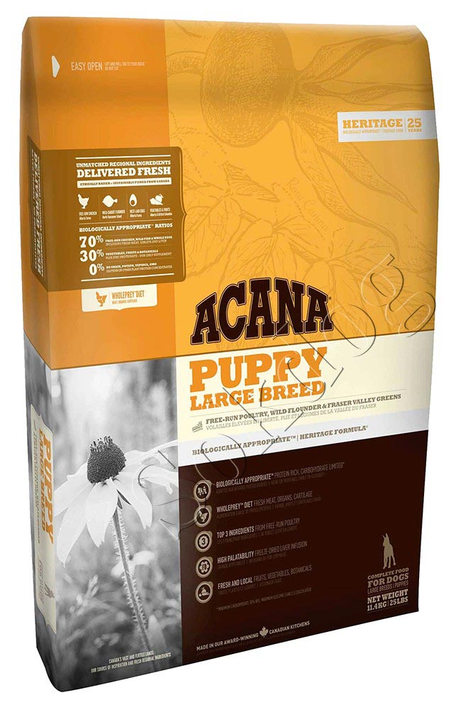 Acana Puppy Large breed 17 kg