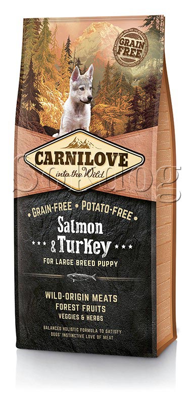 CarniLove Salmon & Turkey Puppy Large 12kg