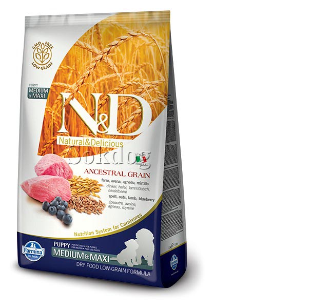 N&D Ancestral Grain Puppy Med.-Maxi bárány&áfonya 12kg