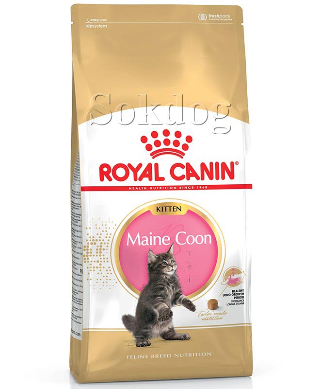 Royal Canin Maine Coon Kitten 2*400g - Maine Coon kölyök macska száraz táp