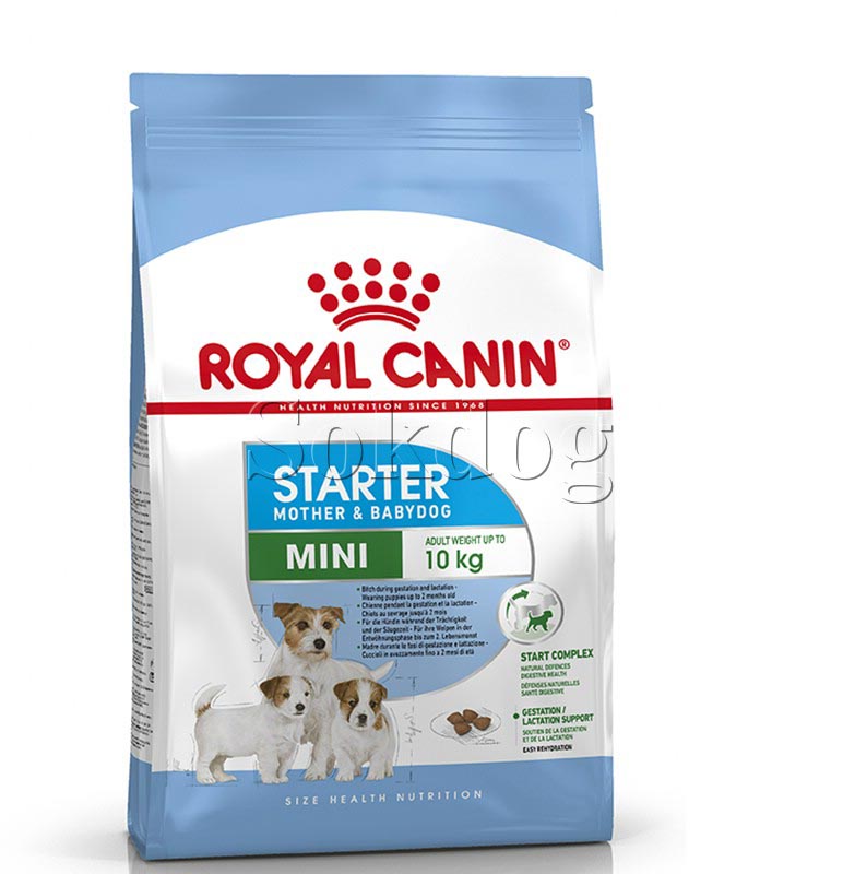 Royal Canin Mini Starter 4kg - száraz táp vemhes szuka és kistestű kölyök kutya részére