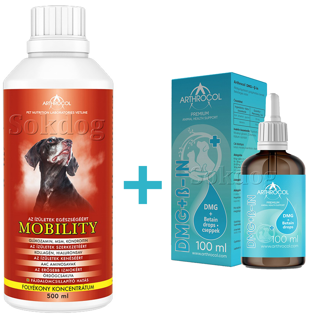 Arthrocol Mobility 500ml + DMG & Betaine csepp 100ml