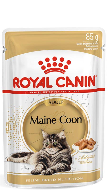 Royal Canin Maine Coon Adult 12*85g - Maine Coon felnőtt macska nedves táp