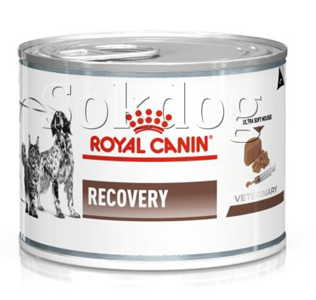 Royal Canin Recovery mousse 12*195g