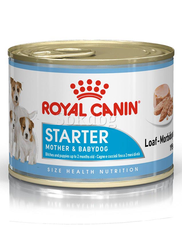 Royal Canin Starter Mousse 12*195g - kölyök kutya pépes nedves táp