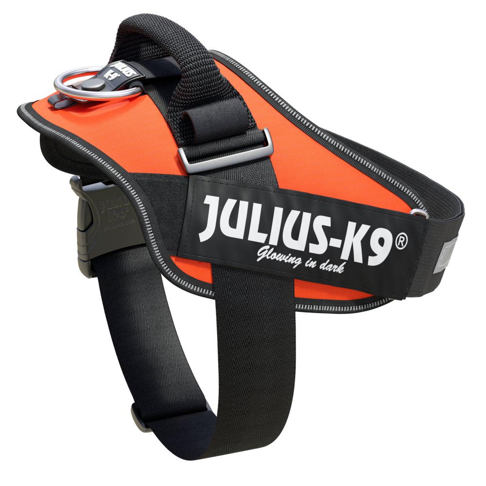 Julius K-9 IDC Powerhám, felirattal, Mini-Mini, UV-narancs